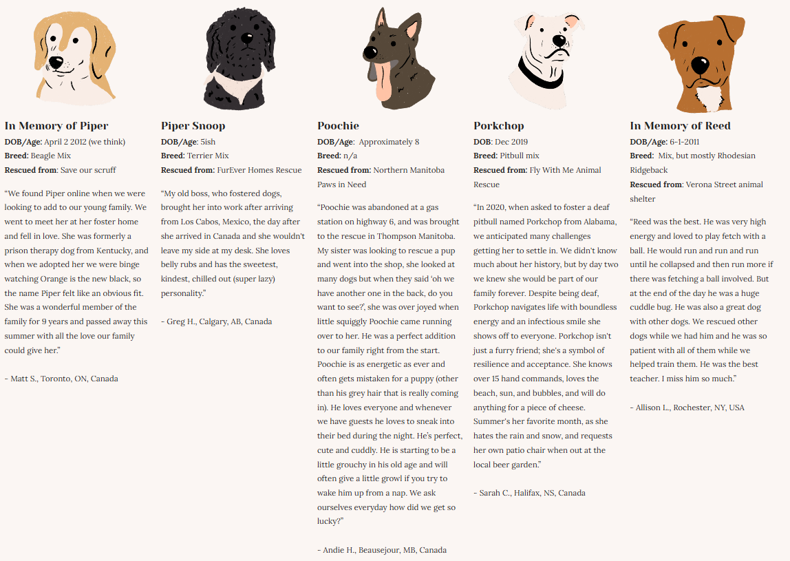 Rescue Dogs | Eco-Friendly 1000-Piece Puzzle for Adults | Designed in Canada by Rachel Lyon | Best Rated Finds