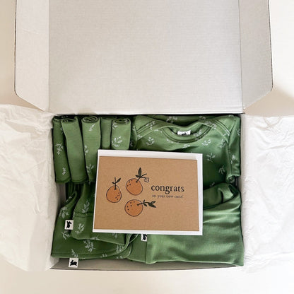 Bamboo Baby Capsule Gift Box - Sprig & Leaf Green
