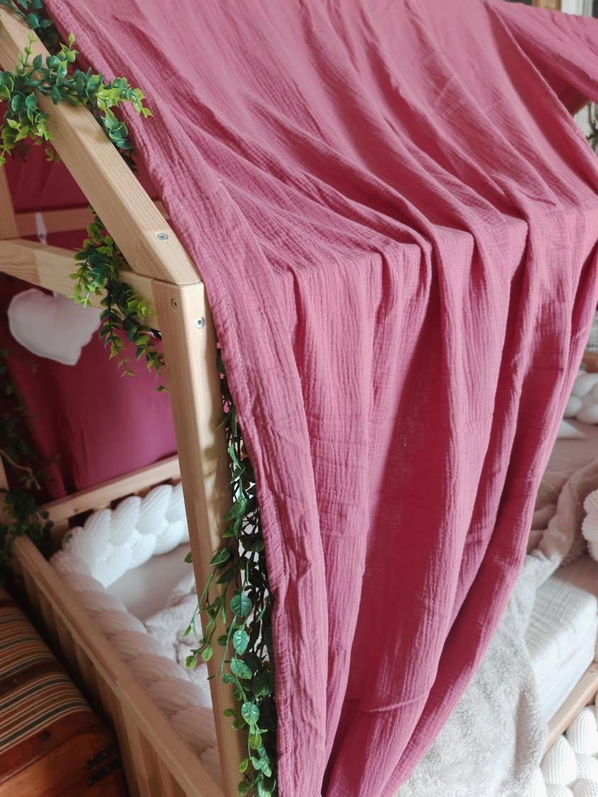 House Bed Canopies