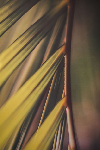 Tropical Grace – Non-Toxic Yoga & Pilates Mat – Art Design, Canada