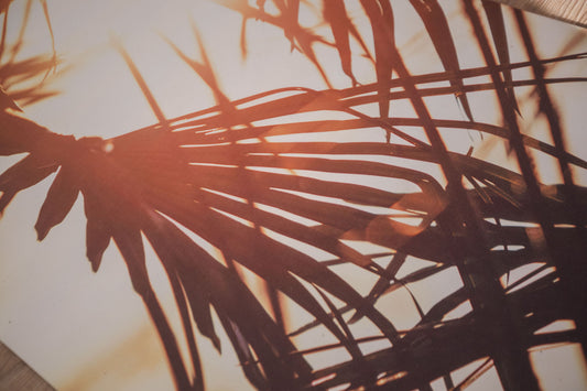 Sunset Palms – Non-Toxic Yoga & Pilates Mat – Art Design, Canada