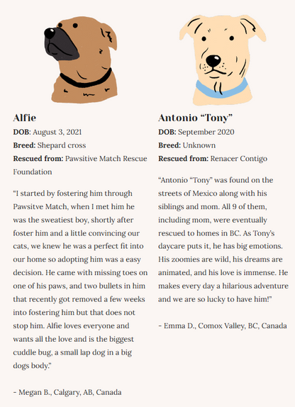 Rescue Dogs | Eco-Friendly 1000-Piece Puzzle for Adults | Designed in Canada by Rachel Lyon | Best Rated Finds