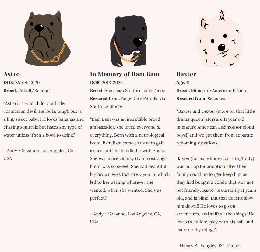 Rescue Dogs | Eco-Friendly 1000-Piece Puzzle for Adults | Designed in Canada by Rachel Lyon | Best Rated Finds