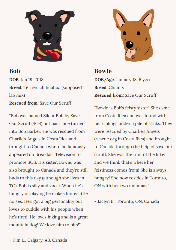 Rescue Dogs | Eco-Friendly 1000-Piece Puzzle for Adults | Designed in Canada by Rachel Lyon | Best Rated Finds