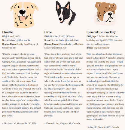 Rescue Dogs | Eco-Friendly 1000-Piece Puzzle for Adults | Designed in Canada by Rachel Lyon | Best Rated Finds