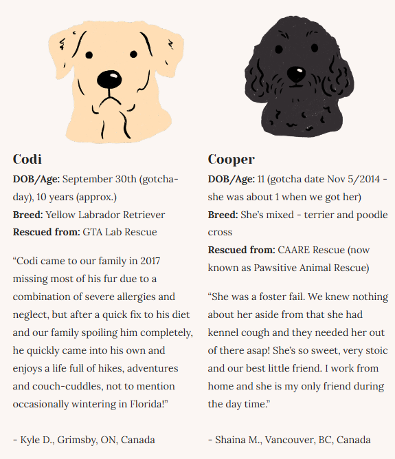 Rescue Dogs | Eco-Friendly 1000-Piece Puzzle for Adults | Designed in Canada by Rachel Lyon | Best Rated Finds