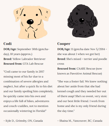 Rescue Dogs | Eco-Friendly 1000-Piece Puzzle for Adults | Designed in Canada by Rachel Lyon | Best Rated Finds