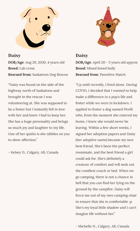 Rescue Dogs | Eco-Friendly 1000-Piece Puzzle for Adults | Designed in Canada by Rachel Lyon | Best Rated Finds