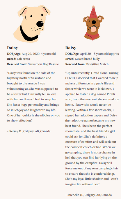 Rescue Dogs | Eco-Friendly 1000-Piece Puzzle for Adults | Designed in Canada by Rachel Lyon | Best Rated Finds