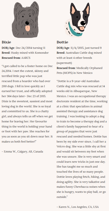 Rescue Dogs | Eco-Friendly 1000-Piece Puzzle for Adults | Designed in Canada by Rachel Lyon | Best Rated Finds