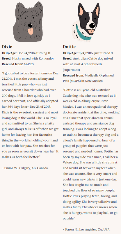 Rescue Dogs | Eco-Friendly 1000-Piece Puzzle for Adults | Designed in Canada by Rachel Lyon | Best Rated Finds