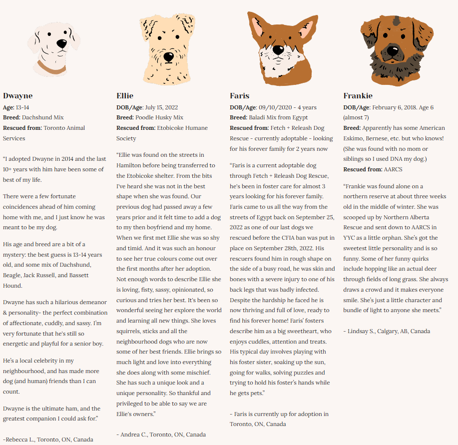 Rescue Dogs | Eco-Friendly 1000-Piece Puzzle for Adults | Designed in Canada by Rachel Lyon | Best Rated Finds