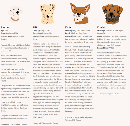 Rescue Dogs | Eco-Friendly 1000-Piece Puzzle for Adults | Designed in Canada by Rachel Lyon | Best Rated Finds