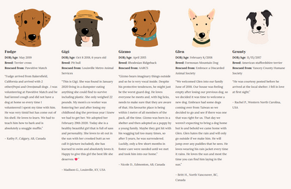 Rescue Dogs | Eco-Friendly 1000-Piece Puzzle for Adults | Designed in Canada by Rachel Lyon | Best Rated Finds