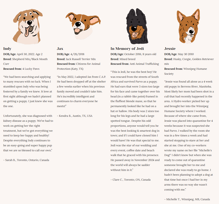 Rescue Dogs | Eco-Friendly 1000-Piece Puzzle for Adults | Designed in Canada by Rachel Lyon | Best Rated Finds