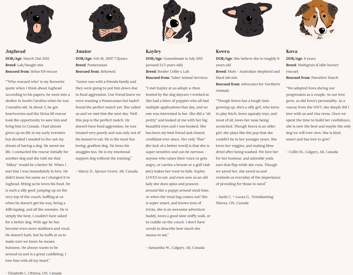 Rescue Dogs | Eco-Friendly 1000-Piece Puzzle for Adults | Designed in Canada by Rachel Lyon | Best Rated Finds