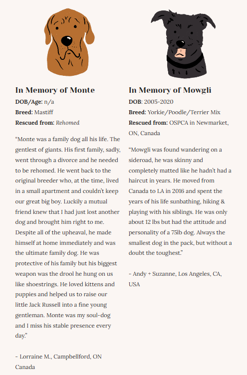 Rescue Dogs | Eco-Friendly 1000-Piece Puzzle for Adults | Designed in Canada by Rachel Lyon | Best Rated Finds