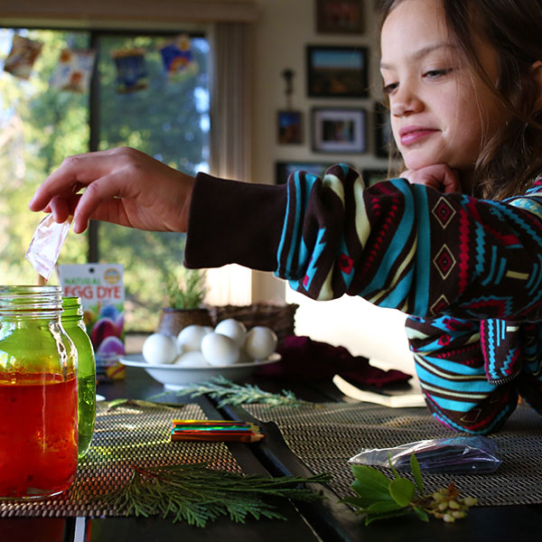 Natural Egg Dye Kit