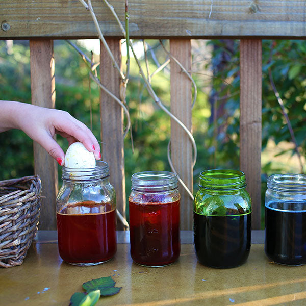 Natural Egg Dye Kit