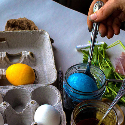 Natural Egg Dye Kit